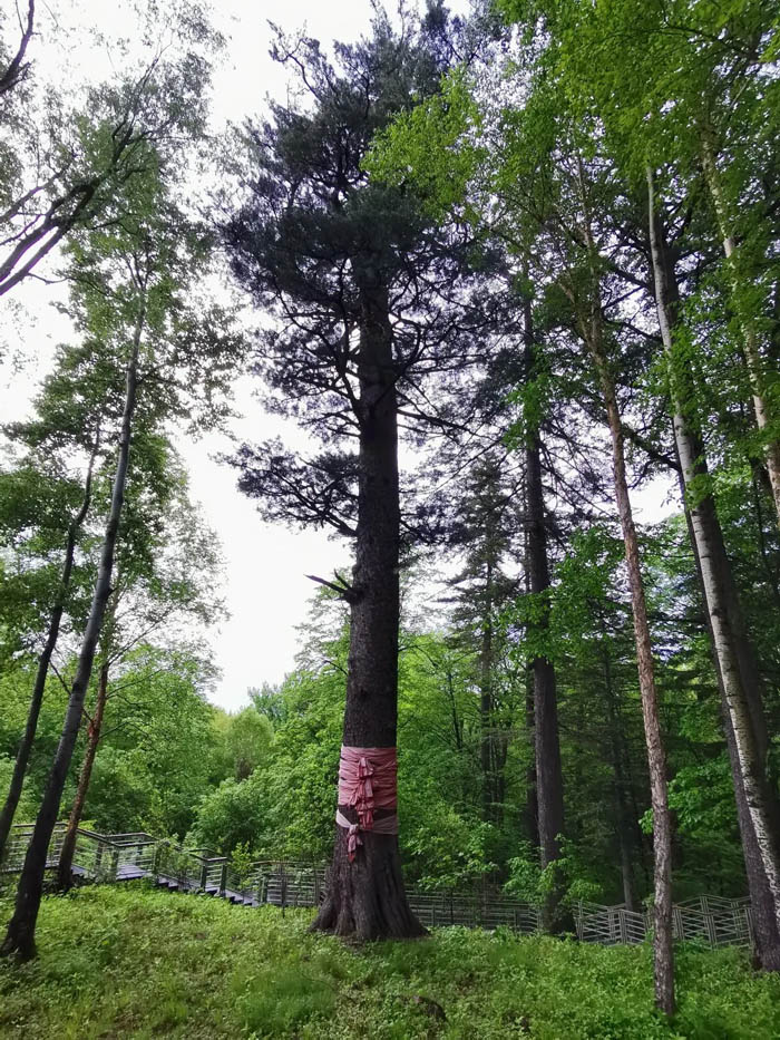 【夢想聚團隊 團隊創(chuàng)輝煌】西微雅團建活動——長白山之旅(圖5) 【夢想聚團隊 團隊創(chuàng)輝煌】西微雅團建活動——長白山之旅(圖5)