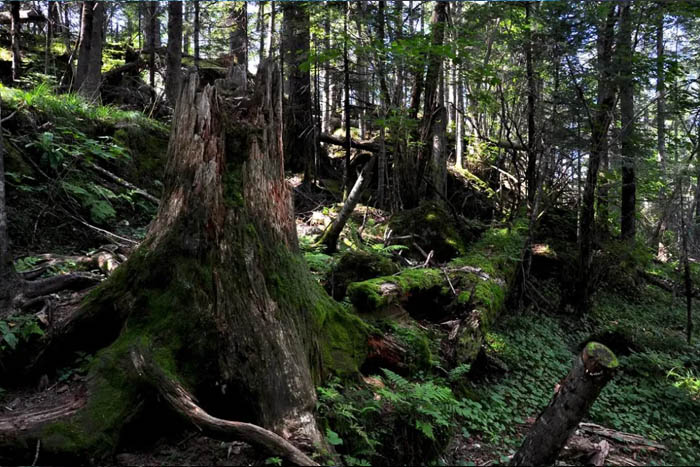 【夢想聚團隊 團隊創(chuàng)輝煌】西微雅團建活動——長白山之旅(圖13) 【夢想聚團隊 團隊創(chuàng)輝煌】西微雅團建活動——長白山之旅(圖13)