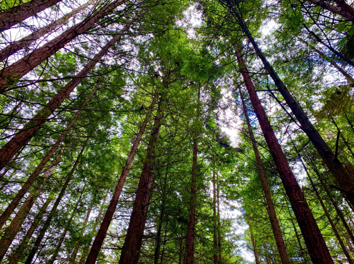 【夢想聚團隊 團隊創(chuàng)輝煌】西微雅團建活動——長白山之旅(圖18) 【夢想聚團隊 團隊創(chuàng)輝煌】西微雅團建活動——長白山之旅(圖18)