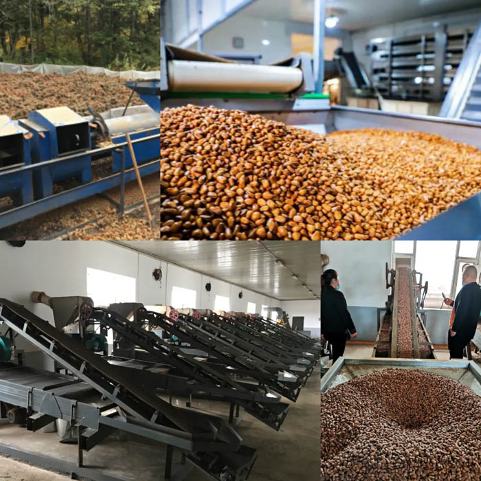 【夢想聚團隊 團隊創(chuàng)輝煌】西微雅團建活動——長白山之旅(圖20) 【夢想聚團隊 團隊創(chuàng)輝煌】西微雅團建活動——長白山之旅(圖20)