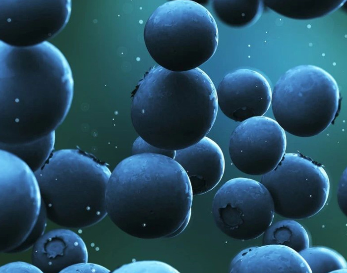 藍(lán)莓到藍(lán)莓干其營養(yǎng)價(jià)值有變化嗎(圖2)