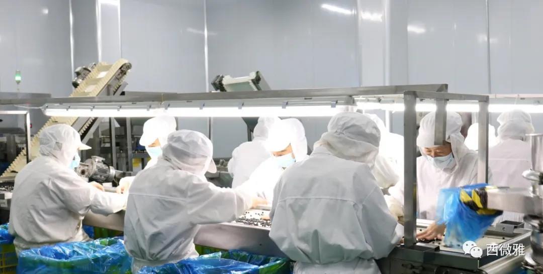 喬遷之喜——西微雅喬遷圓滿(mǎn)結(jié)束現(xiàn)已正式投入生產(chǎn)(圖6)