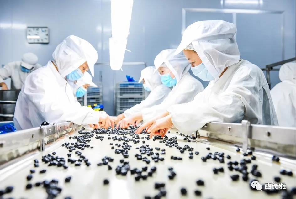 喬遷之喜——西微雅喬遷圓滿(mǎn)結(jié)束現(xiàn)已正式投入生產(chǎn)(圖8)