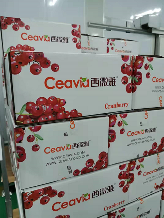 蔓越莓干批發(fā)廠家國(guó)內(nèi)如何生產(chǎn)蔓越莓干(圖7) 蔓越莓干批發(fā)廠家國(guó)內(nèi)如何生產(chǎn)蔓越莓干(圖7)